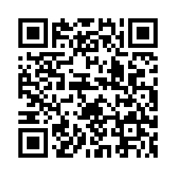 image_2025-02-13_104916258